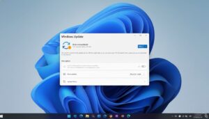 we couldn't connect to the update service